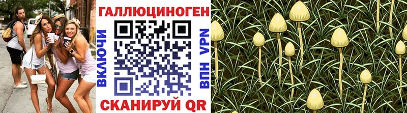 Псилоцибиновые грибы Magic Shrooms  Купить закладки  Ржев 